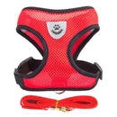Collar para perros y gatos Ajustable - StreetPet™